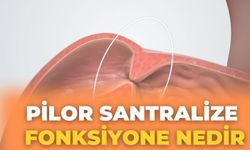 Pilor Santralize Fonksiyone Nedir