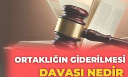 Ortaklığın Giderilmesi Davası Nedir