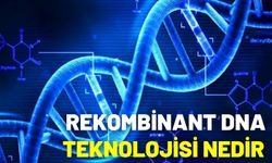 Rekombinant Dna Teknolojisi Nedir