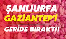 Şanlıurfa, Fıstıkta Gaziantep'i Geride Bıraktı!