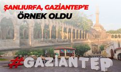 Şanlıurfa, Gaziantep’e Örnek Oldu