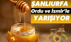 Şanlıurfa, Ordu ve İzmir’le Yarışıyor