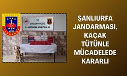 Jandarma, Şanlıurfa’da Kaçakçılığa Geçit Yok Dedi