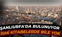 Şanlıurfa'da Bulunuyor: İsmi Kitabelerde Bile Yok