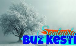 Şanlıurfa Buz Kesti: Uyarılara Dikkat!