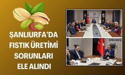 Şanlıurfa’da Fıstık Üretiminde Yeni Adımlar Atılıyor