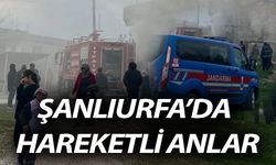 Şanlıurfa’da Hareketli Anlar: Jandarma Ekipleri Olay Yerinde