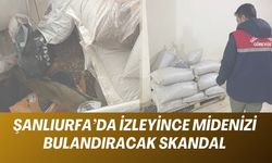 Şanlıurfa’da İzleyince Midenizi Bulandıracak Skandal