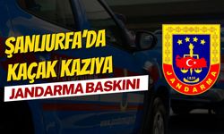 Şanlıurfa’da Kaçak Kazıya Jandarma Baskını