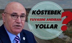 Şanlıurfa’da Köstebek Yuvasını Andıran Yollar