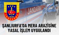 Şanlıurfa Jandarması Mera İşgaline Geçit Vermedi