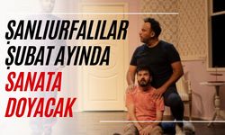 Şanlıurfalılar Şubat Ayında Sanata Doyacak