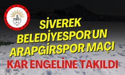 Siverek Belediyespor'un Maçı Kar Nedeniyle Ertelendi