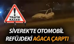 Şanlıurfa Siverek'te Otomobil Refüjdeki Ağaca Çarptı