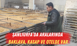 Şanlıurfa’da Aralarında Baklava, Kasap ve Otelde Var: Tek Tek Kesildi…