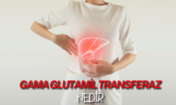 Gama Glutamil Transferaz (Ggt) Nedir