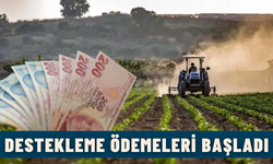 Tarım ve Orman Bakanlığı’ndan Çiftçilere 3,2 Milyar TL Destek Ödemesi