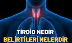 Tiroid Nedir Belirtileri Nelerdir