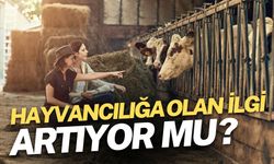 TÜİK Açıkladı: Hayvancılığa Olan İlgi Artıyor Mu?