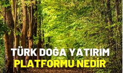 Türk Doğa Yatırım Platformu Nedir