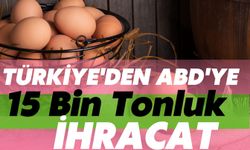 Türkiye'den ABD'ye 15 Bin Tonluk İhracat