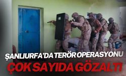 Şanlıurfa’da Terör Operasyonu: Çok Sayıda Gözaltı