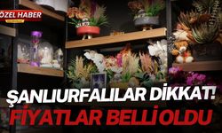 Sevgililer Günü Öncesi Çiçek Fiyatları Belli Oldu