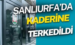 Şanlıurfa’da Kaderine Terkedildi