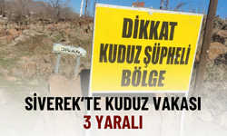 Siverek’te Kuduz Vakası! 3 Yaralı