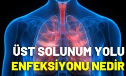 Üst Solunum Yolu Enfeksiyonu Nedir