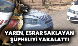 Şanlıurfa'da Dedektör Köpek YAREN, Otobüste Esrar Buldu