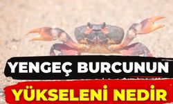 Yengeç Burcunun Yükseleni Nedir