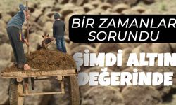 Şanlıurfa’da Bir Zamanlar Sorundu: Şimdi Altın Değerinde