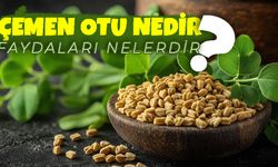 Çemen Otu Nedir? Faydaları Nelerdir?