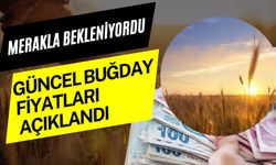 12 Mart 2025 Şanlıurfa Güncel Buğday Fiyatları