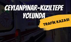 Ceylanpınar-Kızıltepe Yolunda Kaza: 1 Kişi Yaralandı!