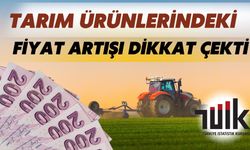 2024 İle 2025 Yılları Arasında Tarım Ürünlerindeki Fiyat Artışı Dikkat Çekti