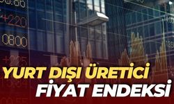 2025 Şubat Ayı Yurt Dışı Üretici Fiyat Endeksi Açıklandı