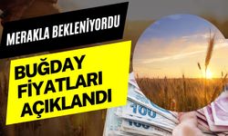 22 Mart 2025 Şanlıurfa Güncel Buğday Fiyatları