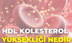 Hdl Kolesterol Yüksekliği Nedir