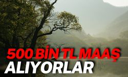 500 Bin TL Maaş Alan O Meslek