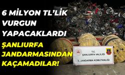 6 Milyon TL’lik Vurgun Yapacaklardı: Şanlıurfa Jandarmasından Kaçamadılar!