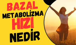 Bazal Metabolizma Hızı Nedir