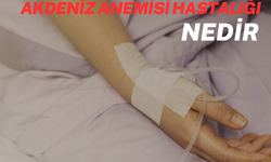 Akdeniz Anemisi Hastalığı Nedir