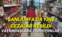 Şanlıurfa’da Yine Cezalar Kesildi: Vatandaşlara Yediriyorlar