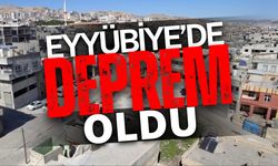 AFAD Duyurdu: Eyyübiye’de Deprem Oldu