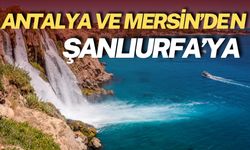 Antalya ve Mersin’de Yetişiyor Şanlıurfa’da Satılıyor