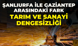 Şanlıurfa ile Gaziantep Arasındaki Fark! Tarım ve Sanayi Dengesizliği