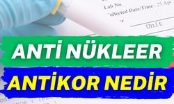 Anti Nükleer Antikor Nedir