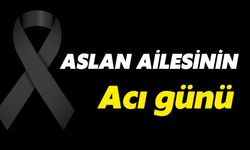 Aslan Ailesinin Acı Günü